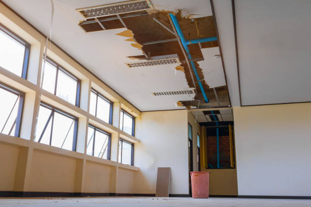 Best Water damage cleanup near me  in Mount Vernon, GA