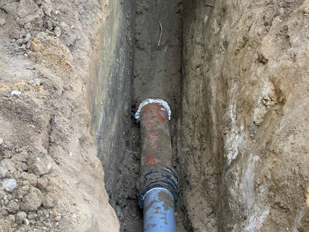 Best Sewage cleanup and water damage restoration  in Mount Vernon, GA