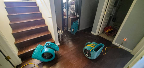Best Water damage contractors near me  in Mount Vernon, GA