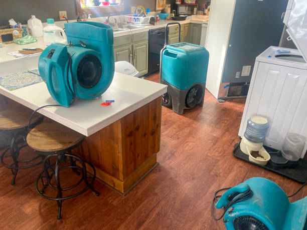 Best Water damage restoration near me  in Mount Vernon, GA