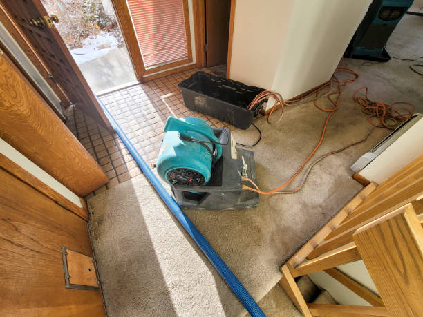 Best Commercial water damage restoration  in Mount Vernon, GA