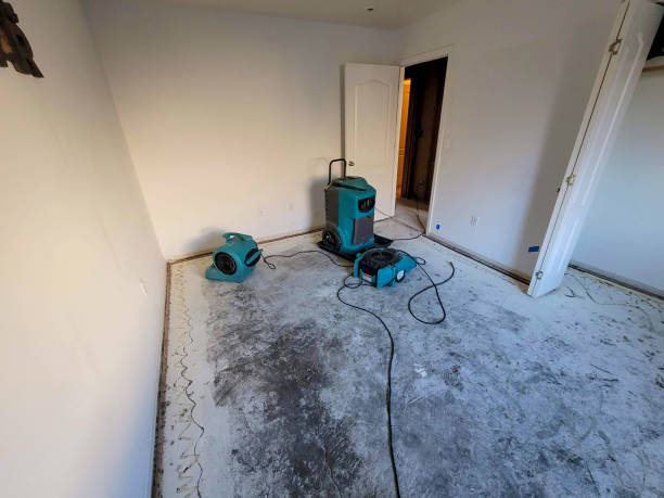 Best Flood damage cleanup  in Mount Vernon, GA