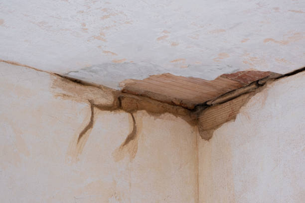 Best Emergency water damage restoration  in Mount Vernon, GA