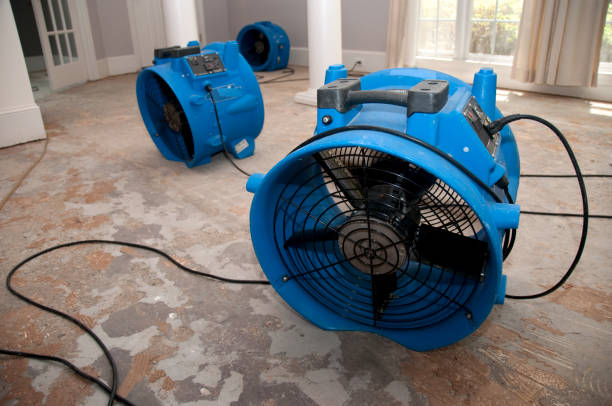 Best Water damage restoration insurance claims  in Mount Vernon, GA