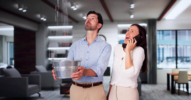 Best Professional water damage repair  in Mount Vernon, GA